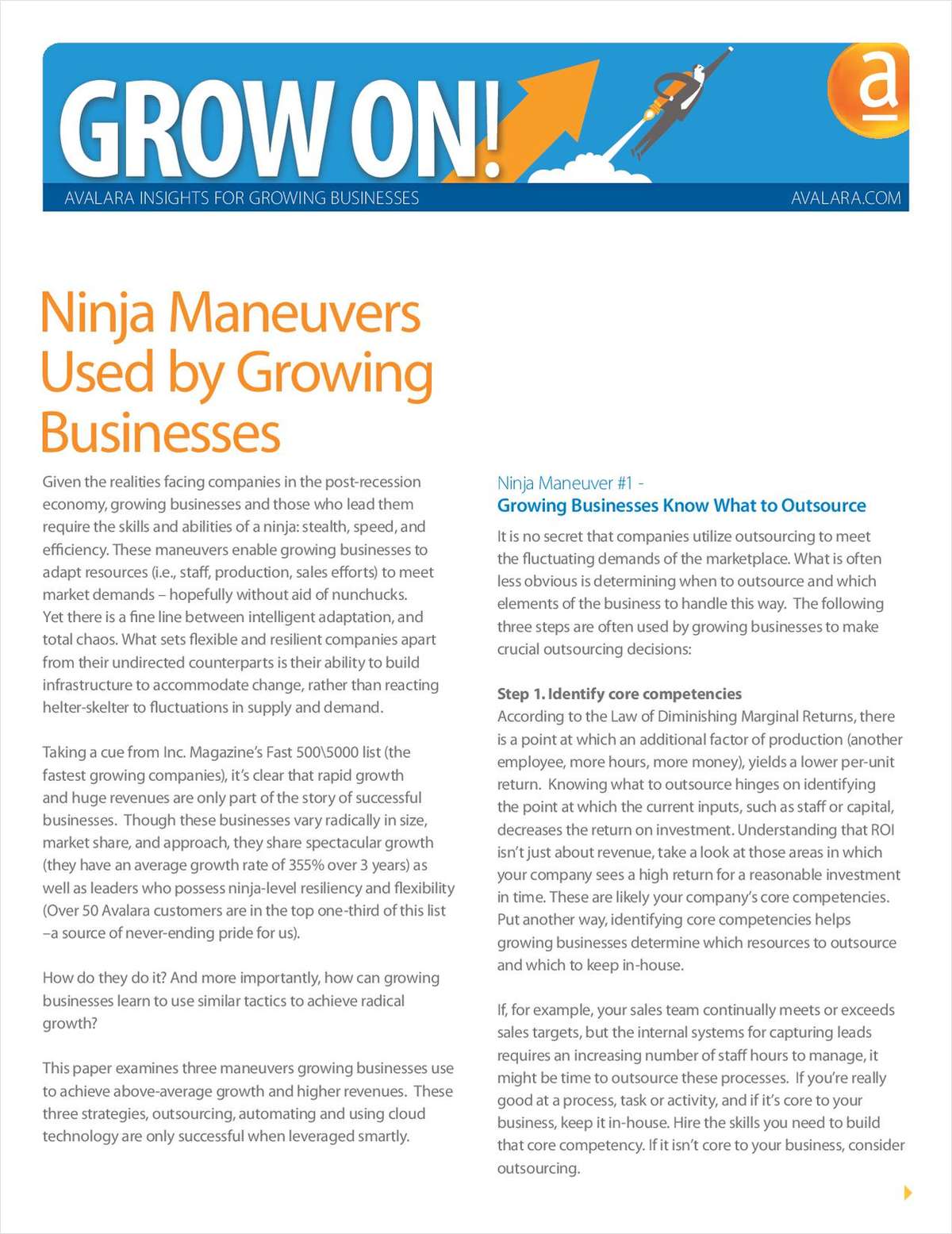 Ninja Maneuvers Used by Growing Businesses