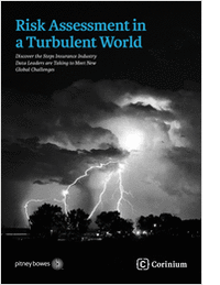 Risk Assessment in a Turbulent World