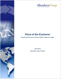 Voice of the Customer: Empowered Customers Bring a Wealth of Business Insight