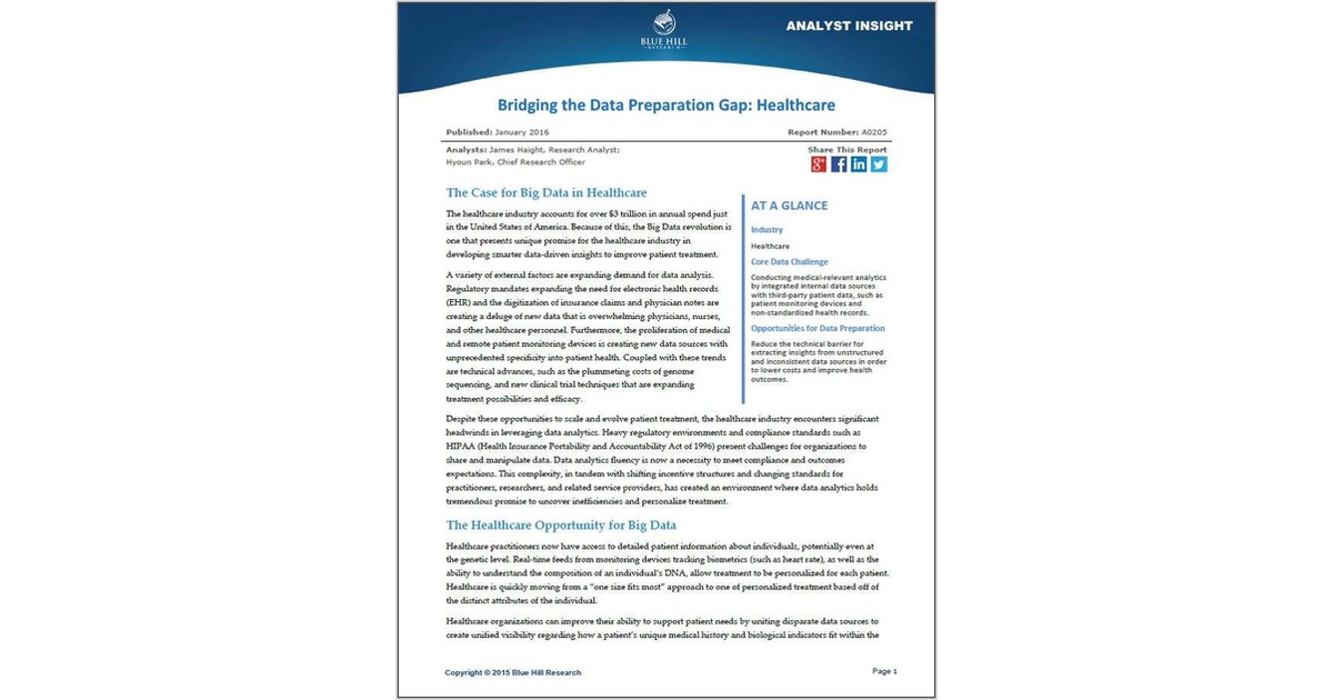 Bridging the Data Preparation Gap: Healthcare