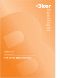 Bloor Spotlight:  Self-Service Data Preparation