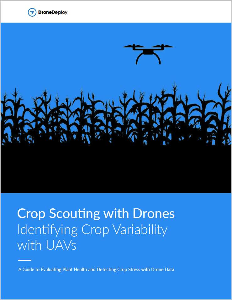 Crop Scouting with Drones: Identifying Crop Variability