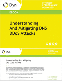 Understanding And Mitigating DNS DDoS Attacks