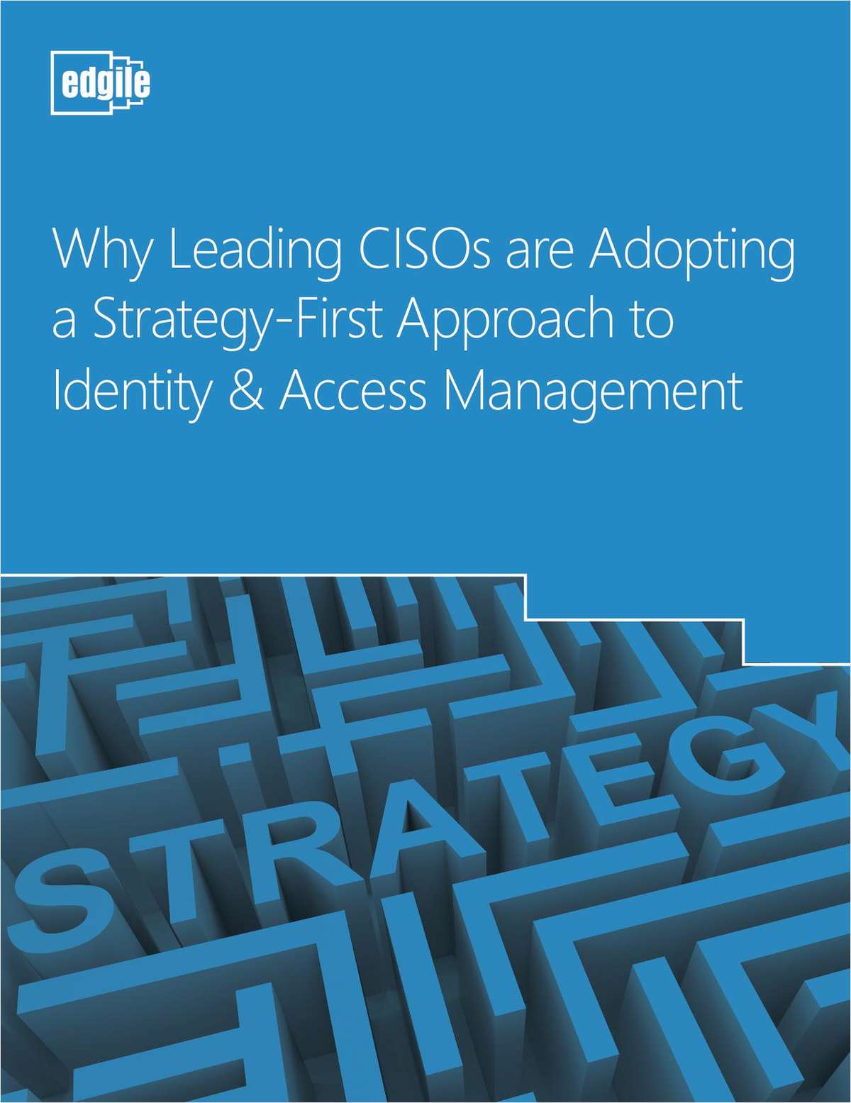 White paper:  Why Leading CISOs are Adopting a Strategy-First Approach to IAM