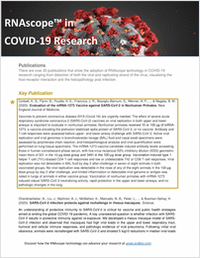 RNAscope in COVID-19 Research