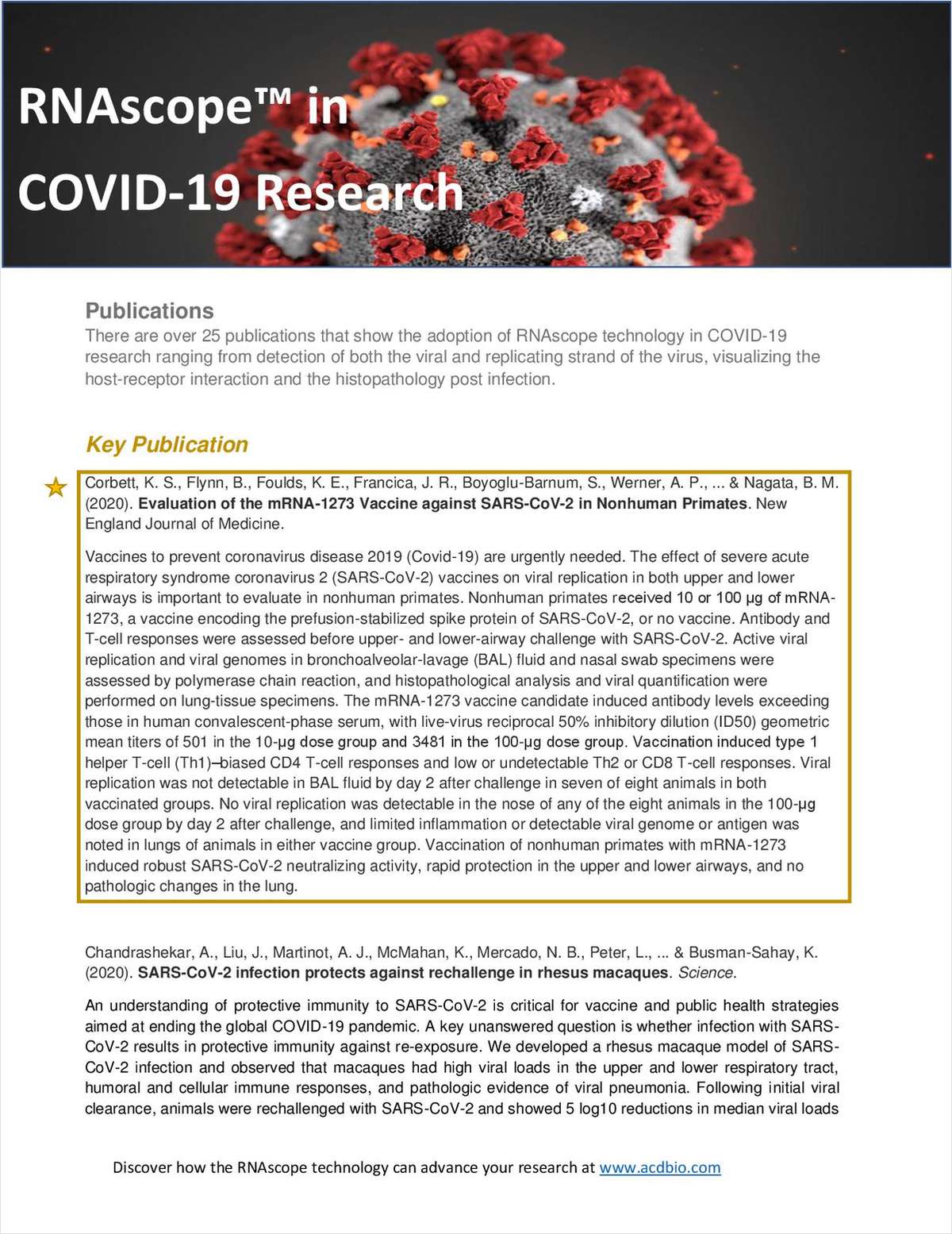 RNAscope in COVID-19 Research