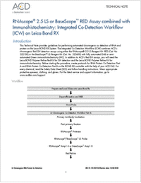 RNAscope 2.5 LS或BaseScope RED检测结合免疫组化:莱卡邦德RX上的综合共检测工作流(ICW)
