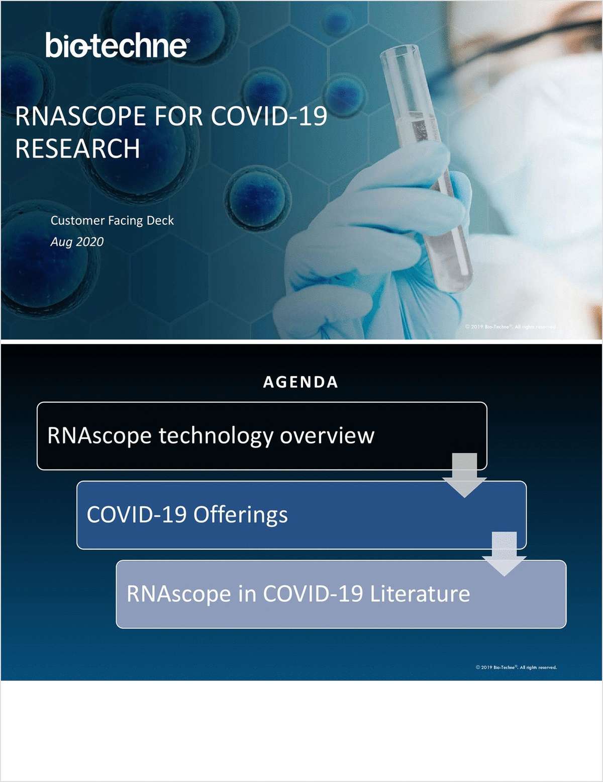RNAscope for COVID-19 Research
