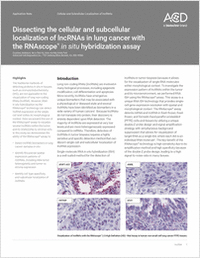 Dissecting the Cellular and Subcellular Localization of lncRNAs in Lung Cancer with the RNAscope In Situ Hybridization Assay