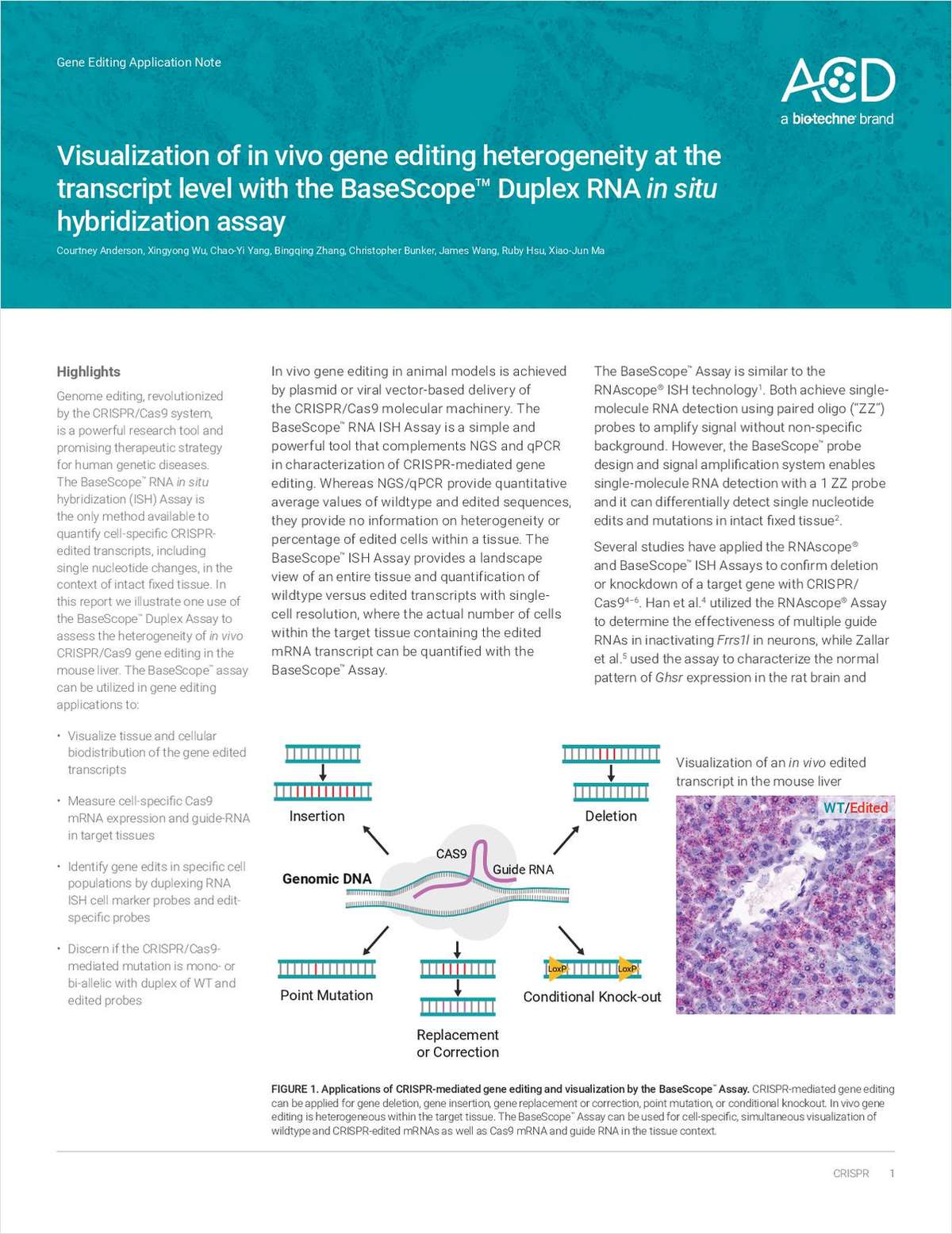 Visualization of in Vivo Gene Editing Heterogeneity at the Transcript Level With the Basescope Duplex Rna in Situ Hybridization Assay