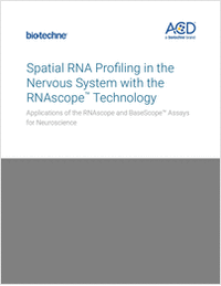 Spatial RNA Profiling in the Nervous System with the RNAscope Technology