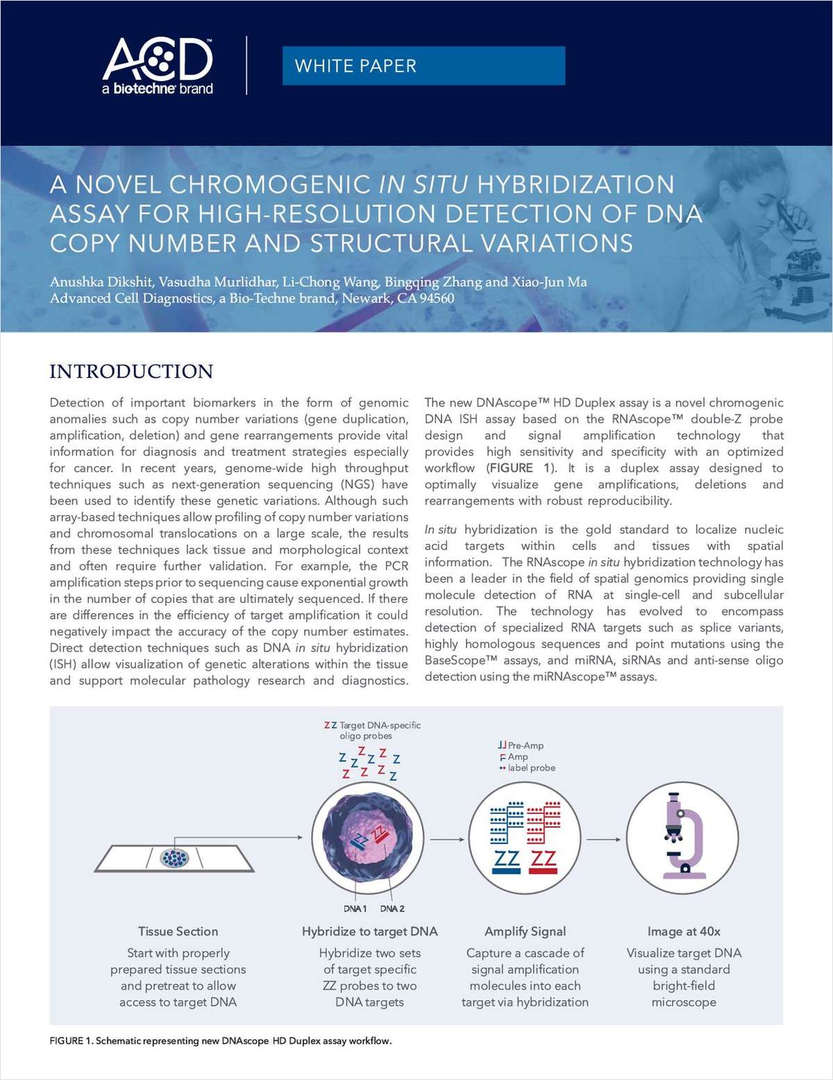 A Novel Chromogenic In Situ Hybridization Technology for High-Resolution Detection of DNA Copy Number and Structural Variations