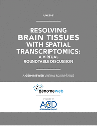 Resolving Brain Tissues with Spatial Transcriptomics: A Virtual Roundtable Discussion