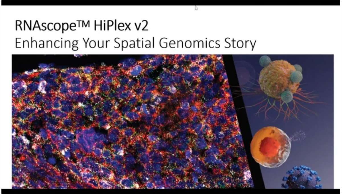 RNAScope HiPlex v2: Enhancing Your Spatial Genomics Story