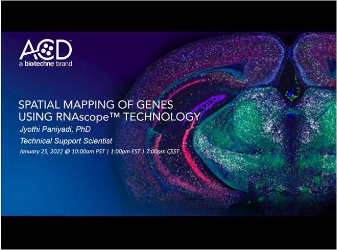 Spatial Mapping of Genes Using RNAscope Technology: An Overview