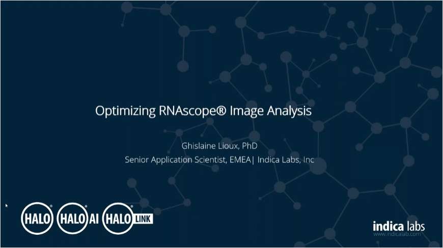Optimizing RNAscope ISH Image Analysis using HALO Image Analysis Software