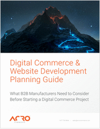 Digital Commerce & Website Development Planning Guide