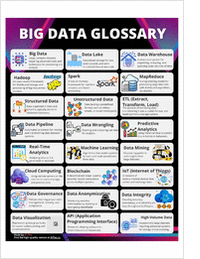 Big Data Glossary