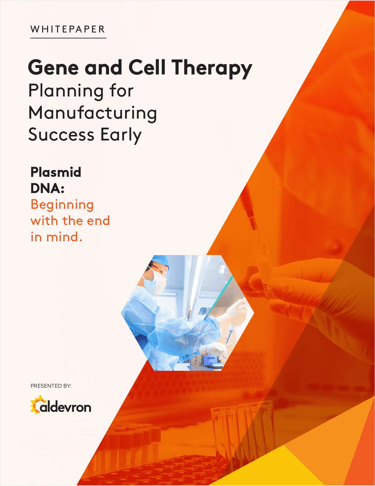 Plasmid DNA Design Considerations for Cell and Gene Therapy