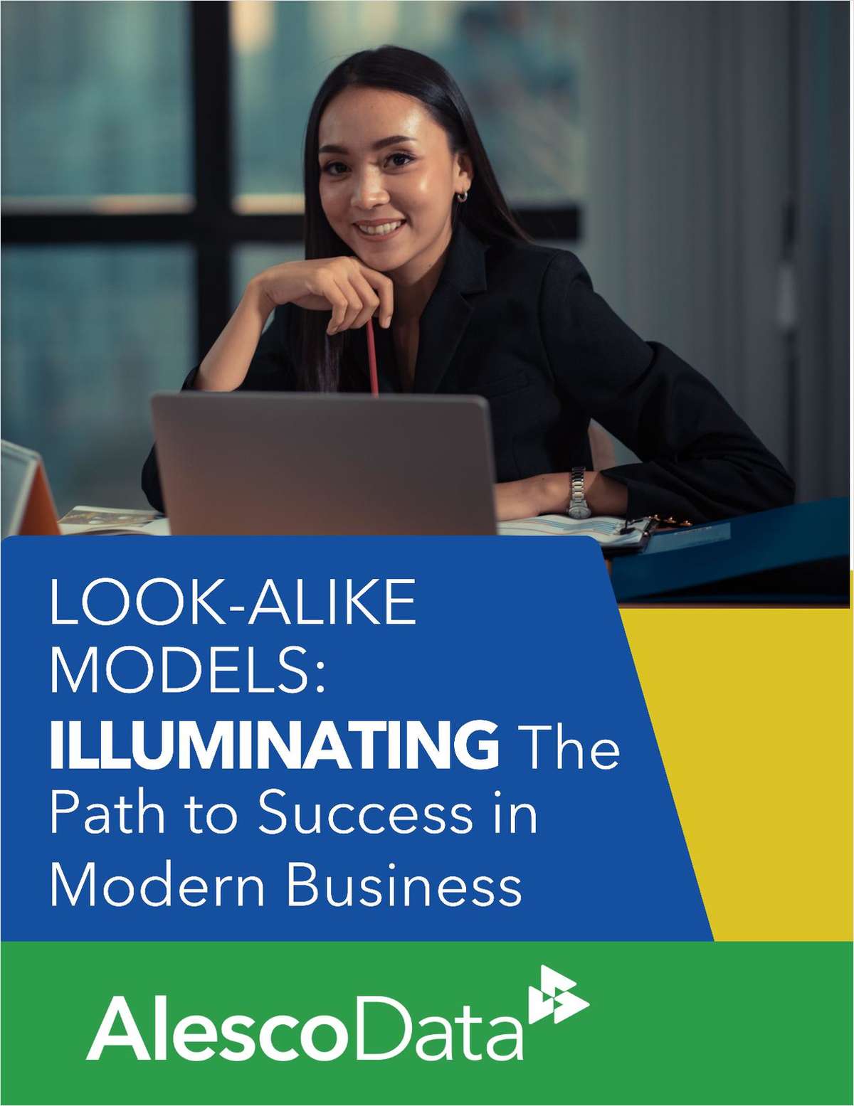 Look-Alike Models - Illuminating the Path to Success in Modern Business