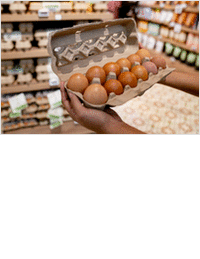 Key Insights for Food Industry Professionals Navigating Today's Egg Landscape