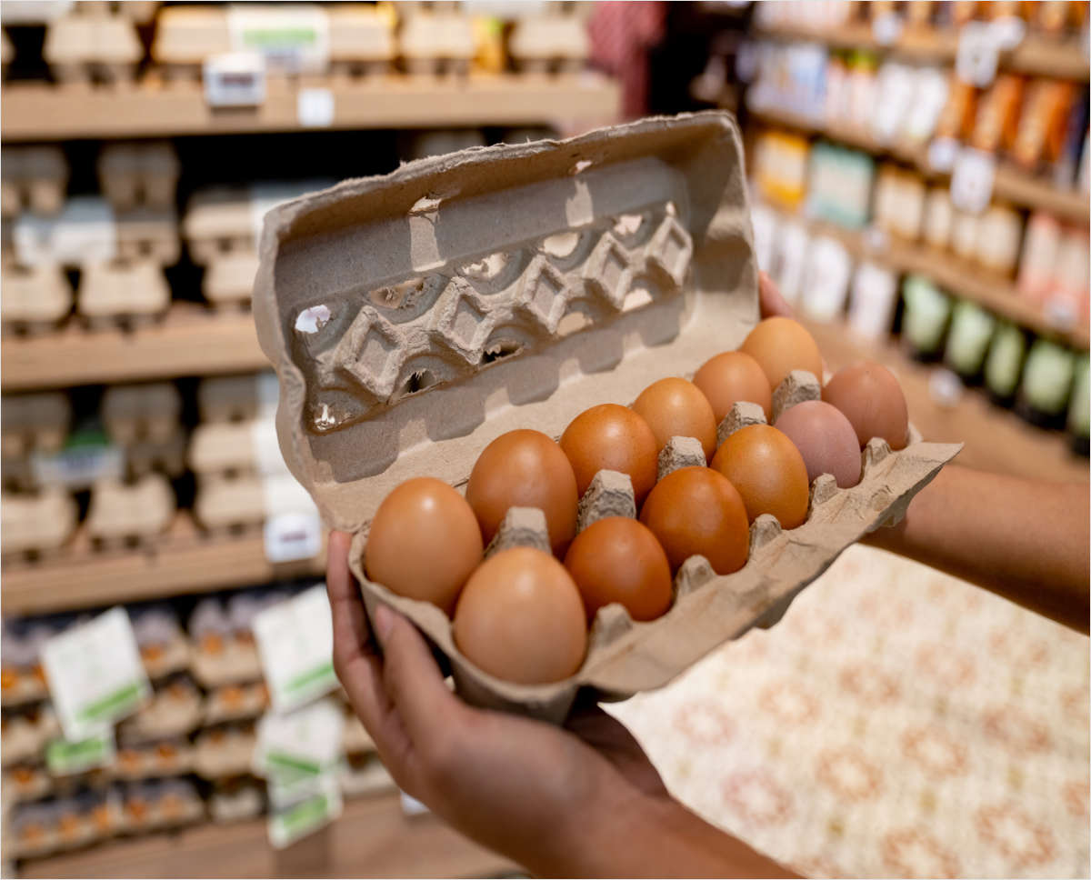 Key Insights for Food Industry Professionals Navigating Today's Egg Landscape