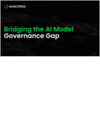 Bridging the AI Model Governance Gap