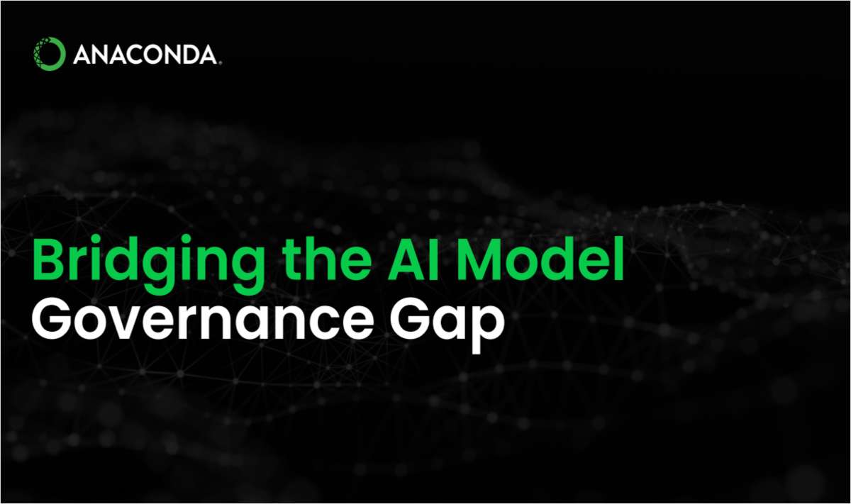 Bridging the AI Model Governance Gap