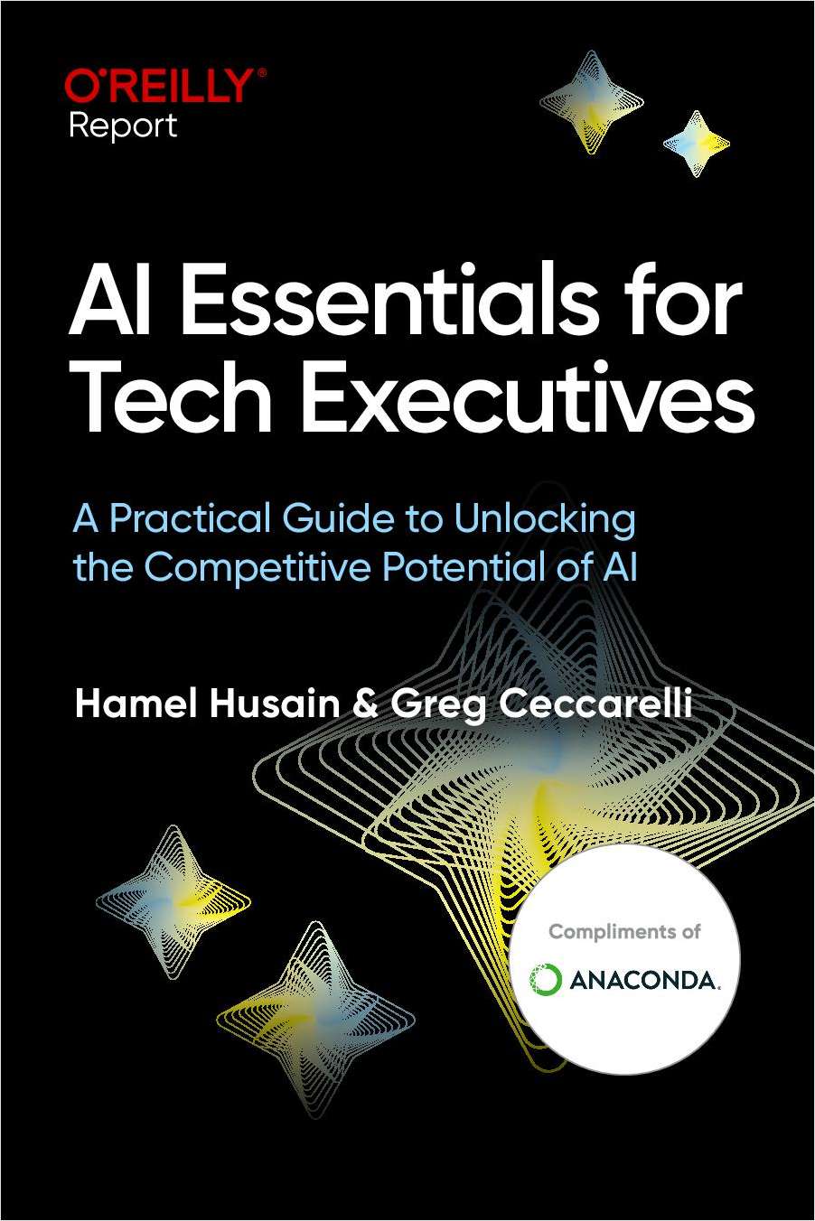 A Practical Guide to Unlocking the Potential of AI