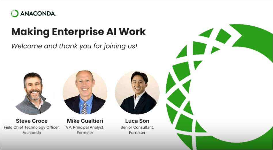 Making Enterprise AI Work