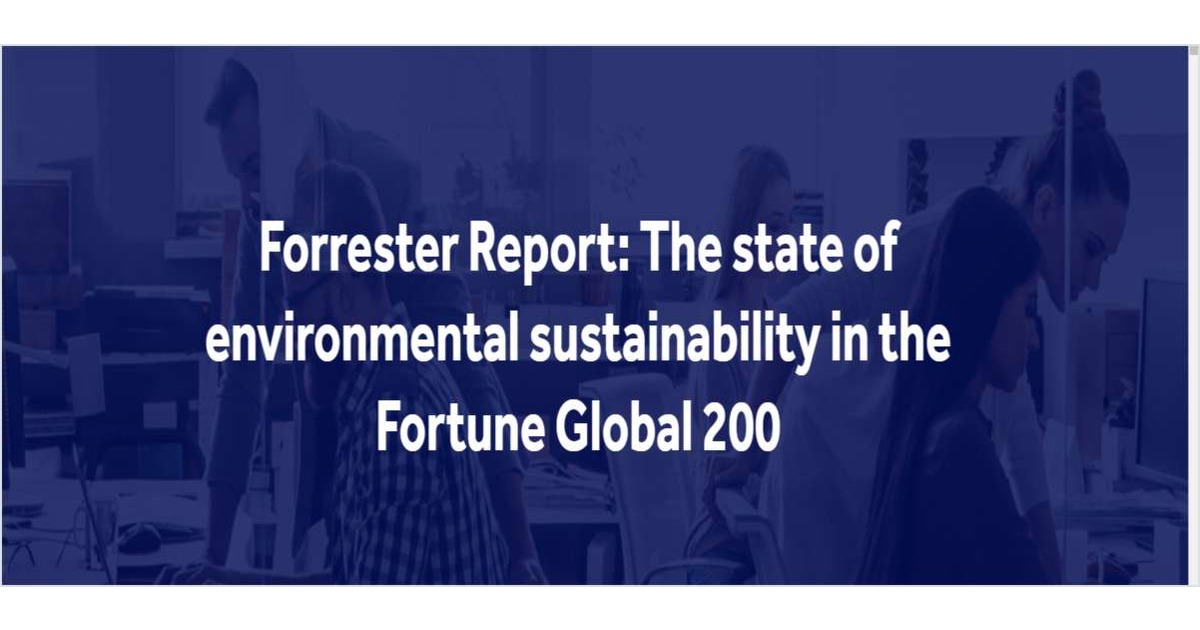 Forrester Report: The state of environmental sustainability in the ...