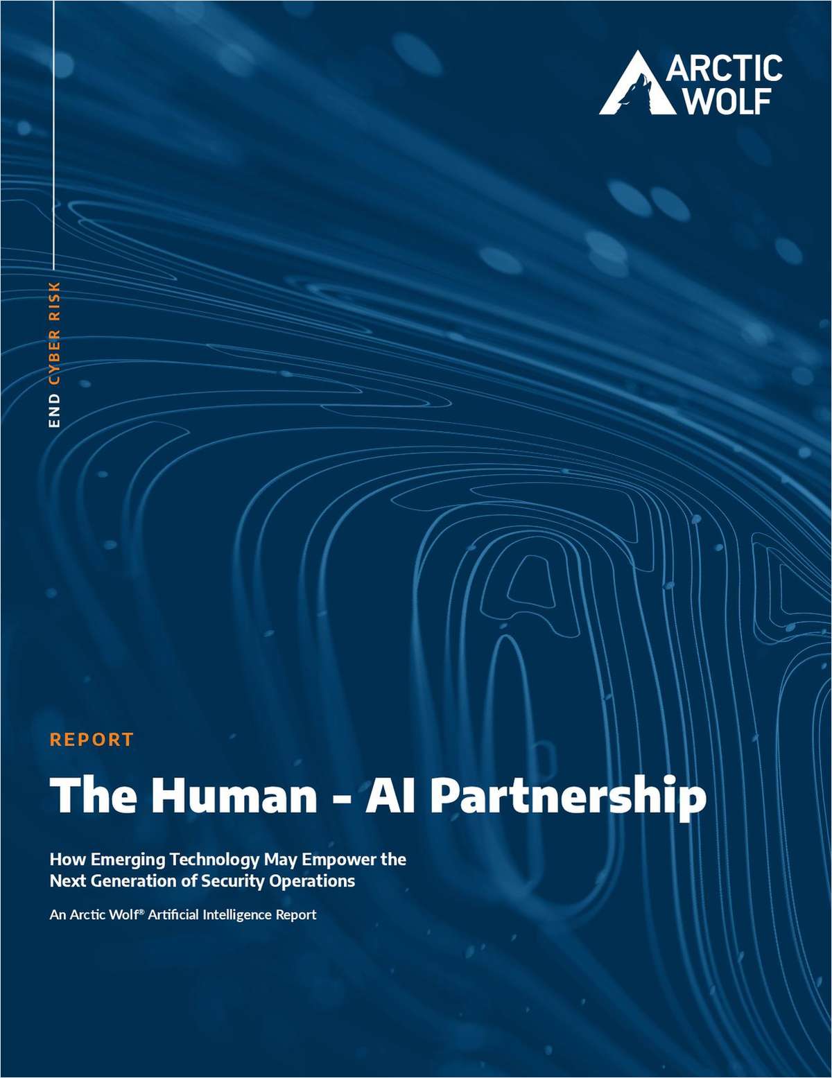 The Human - AI Partnership