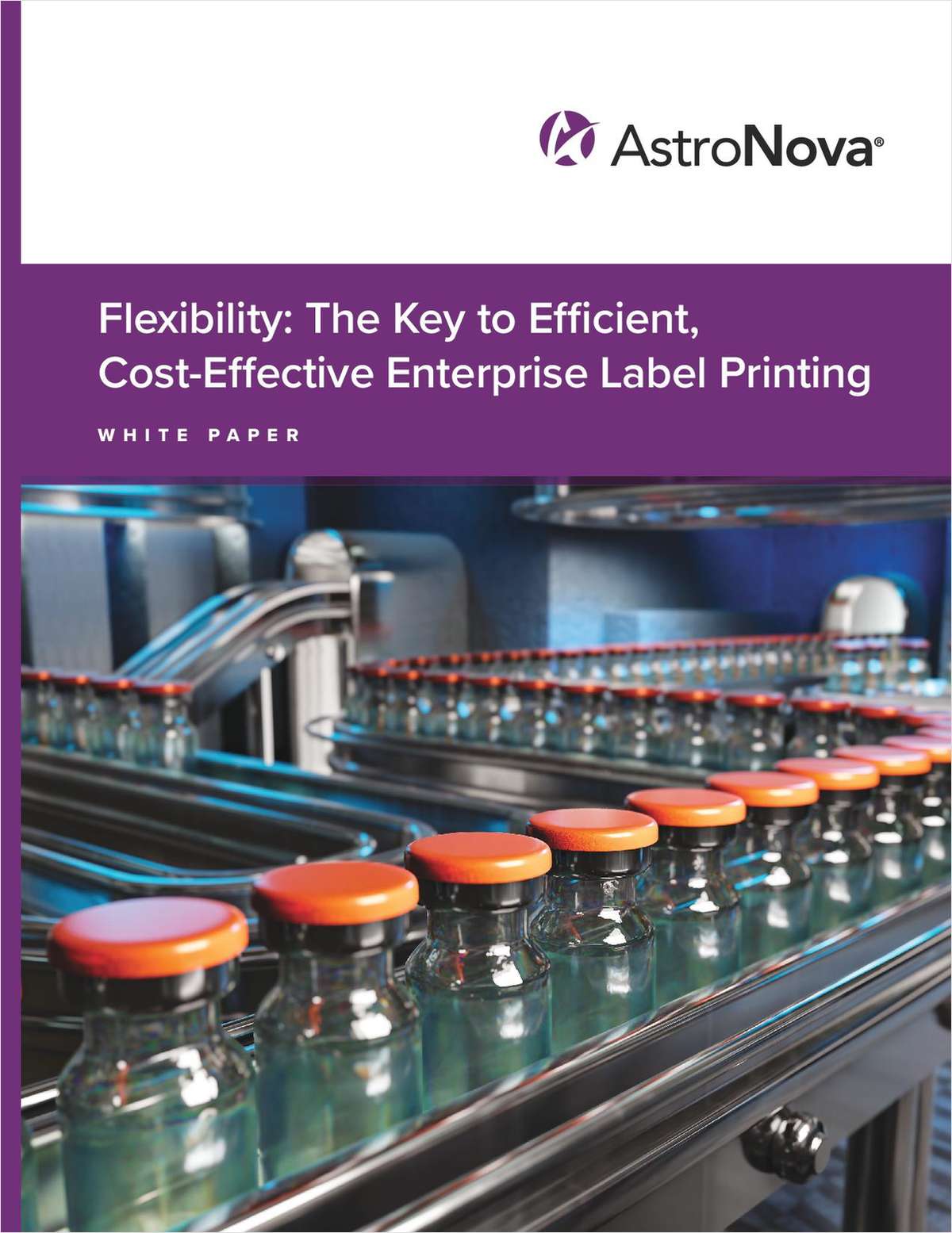 Flexibility: Key to Efficient, Cost-Effective Enterprise Label Printing