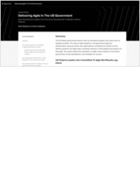 Delivering Agile in the US Government