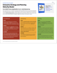 Enterprise Strategy & Planning: Maturity Model