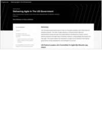 Delivering Agile in the US Government