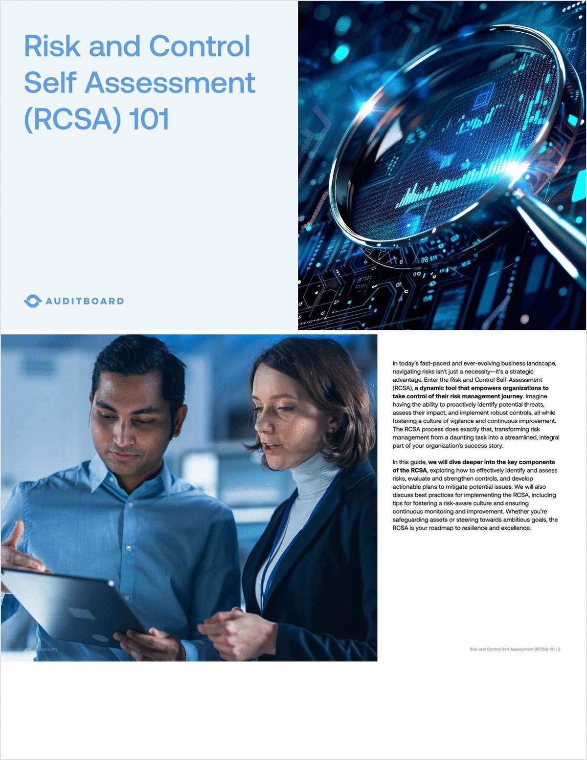 Risk and Control Self-Assessment (RCSA) 101