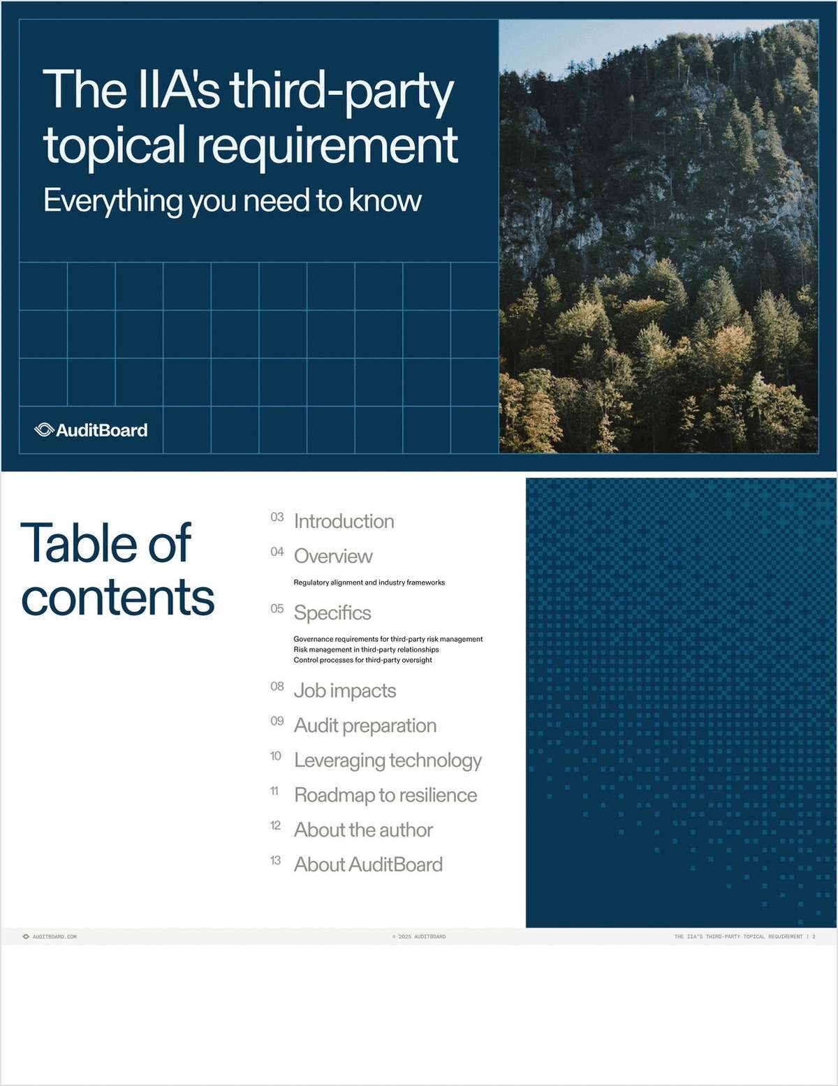 The IIA's Third-Party Topical Requirement: Your essential guide