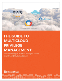 The Guide to Multicloud Privilege Management