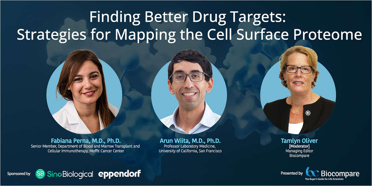 Finding Better Drug Targets: Strategies for Mapping the Cell Surface Proteome