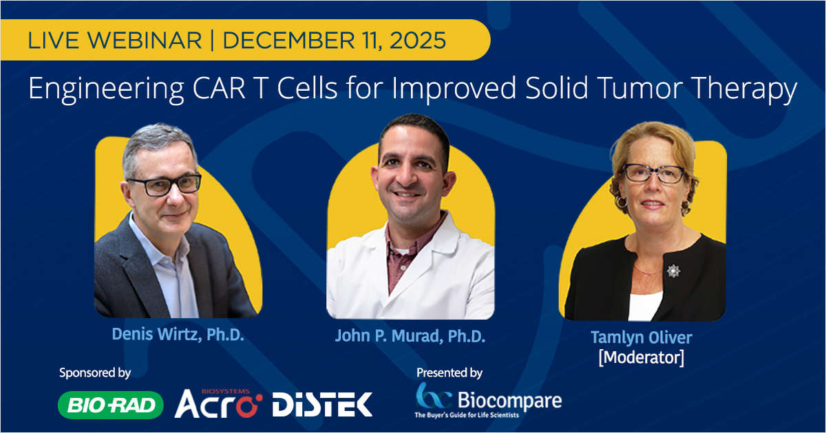 Engineering CAR T Cells for Improved Solid Tumor Therapy