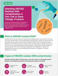 Detecting HEK293 Residual DNA Contamination in Your Cell or Gene Therapy Products