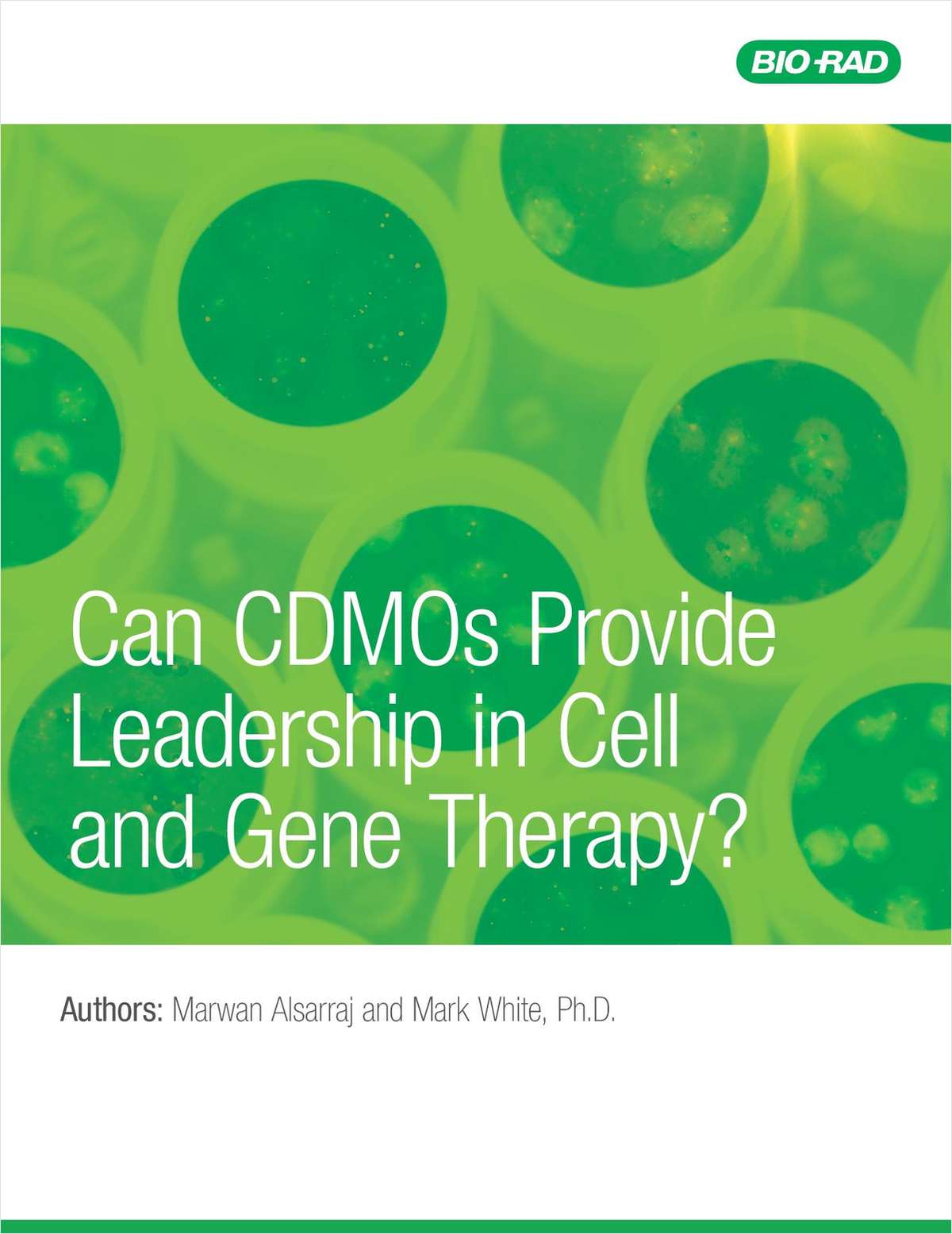 Can CDMOs Provide Leadership in Cell and Gene Therapy?