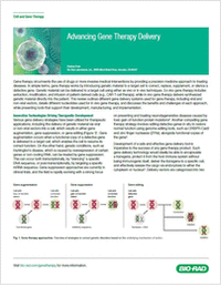 Advancing Gene Therapy Delivery