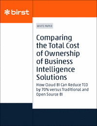 Comparing the Total Cost of Ownership of Business Intelligence Solutions