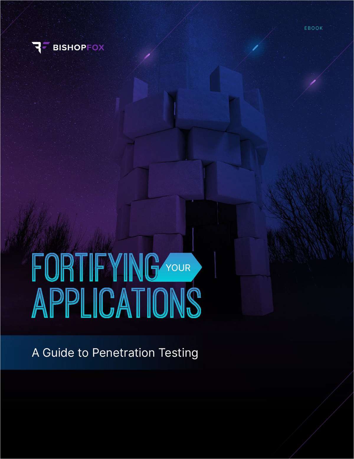 Fortifying Your Applications: A Guide to Penetration Testing