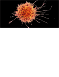 Inside the world of cell therapies