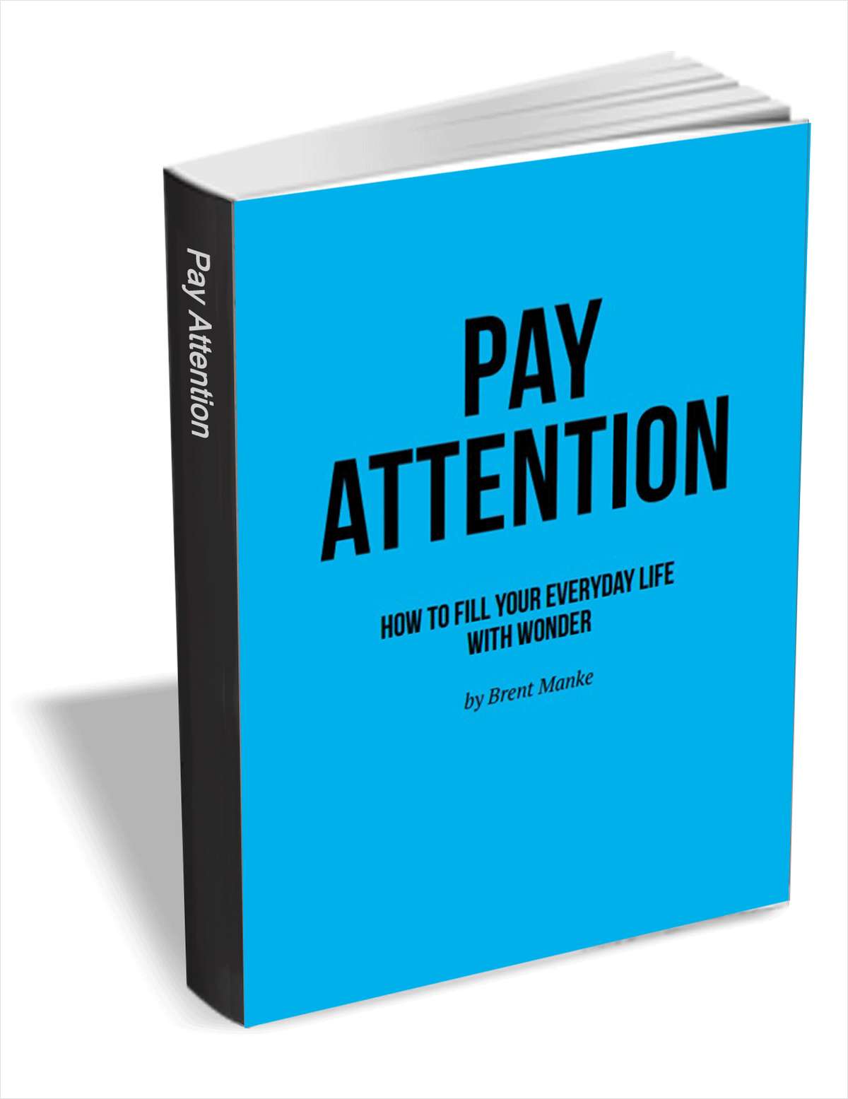 Pay Attention - How to Fill Your Everyday Life with Wonder