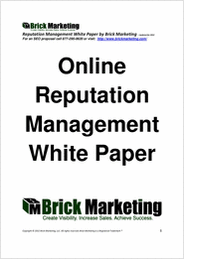 Online Reputation Management White Paper