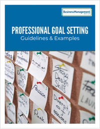 Professional Goal Setting -- Guidelines & Examples